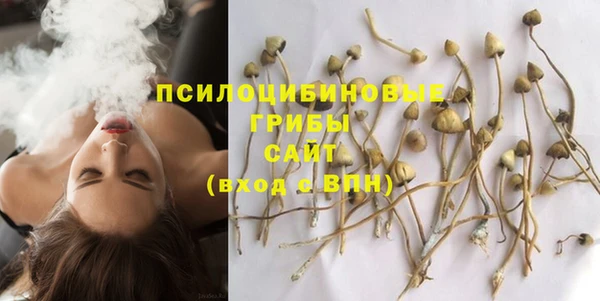 гашик Абдулино