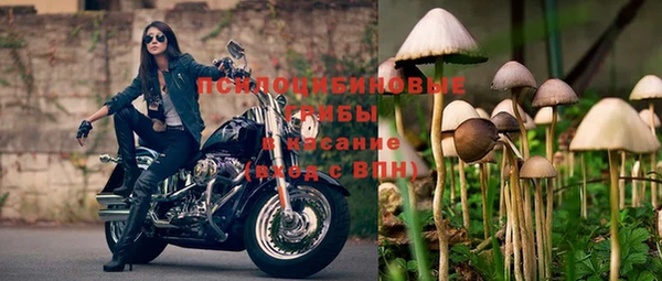 гашик Абдулино