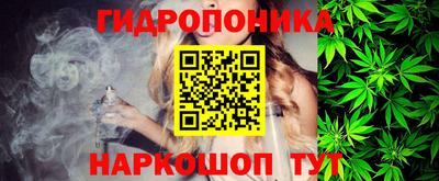 прущие крисы Малгобек