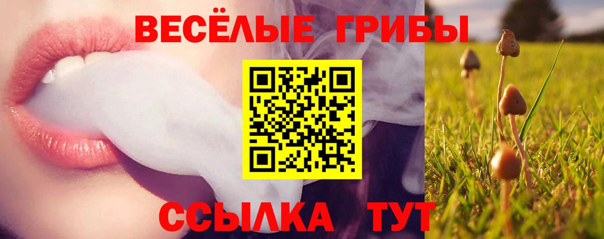 Галлюциногенные грибы Psilocybe  Вход с VPN  купить закладку  Избербаш 